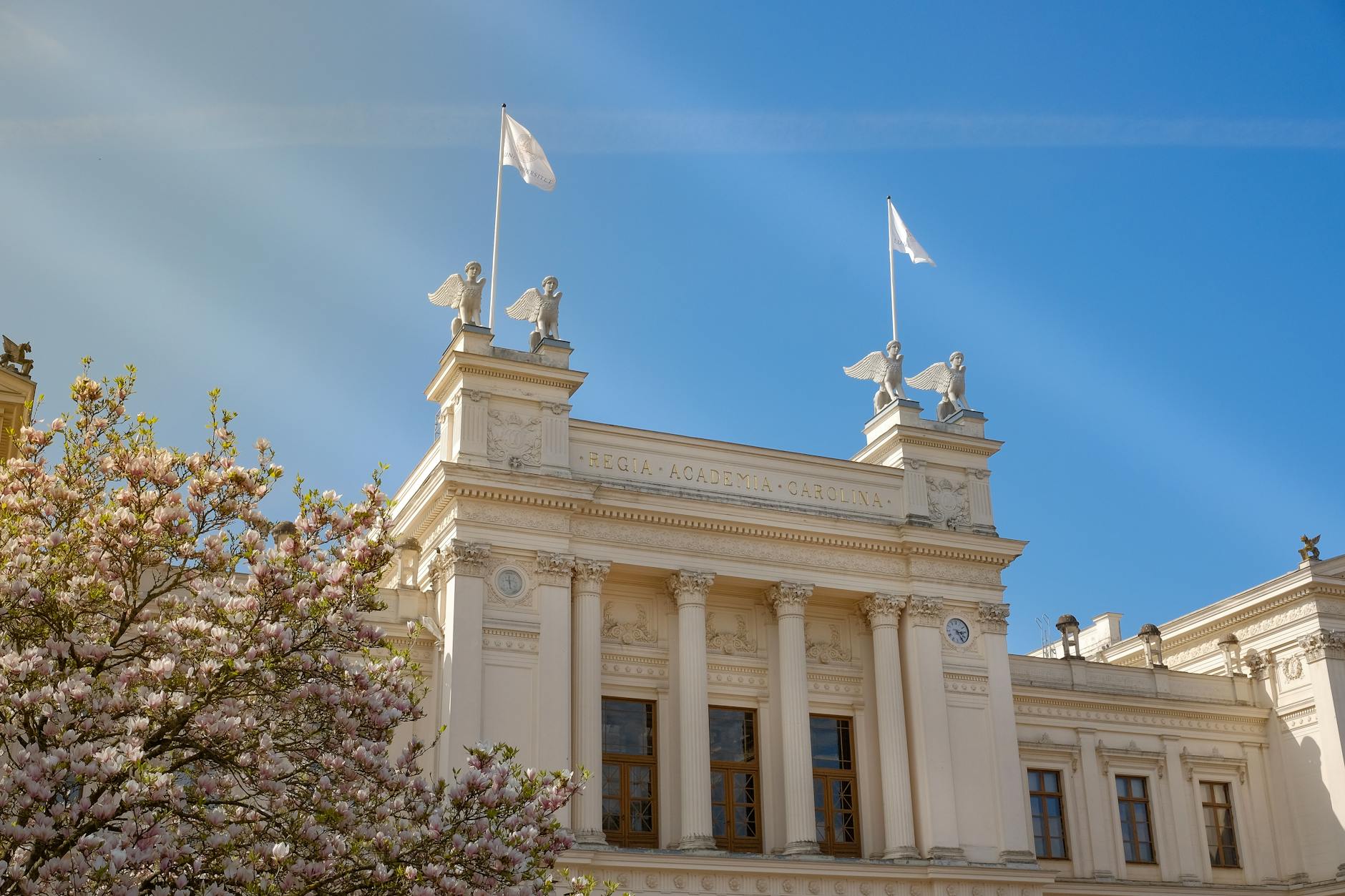 Akademia Rozwoju w Kraśniku: Inwestycja w Młodzież i Przyszłość